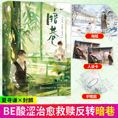 暗巷 有鱼入舟著 双男主BE酸涩文 现代篇HE 夏寻谦 原名暗巷生欢青春文学小说实体书籍 魅力文化