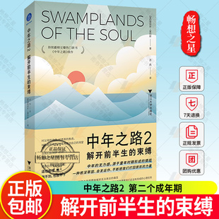 正版中年之路2：解开前半生的束缚 詹姆斯霍利斯 中年的痛苦 想要改变却无以为继的无力感因何而来 又该如何面对  浙江大学出版社