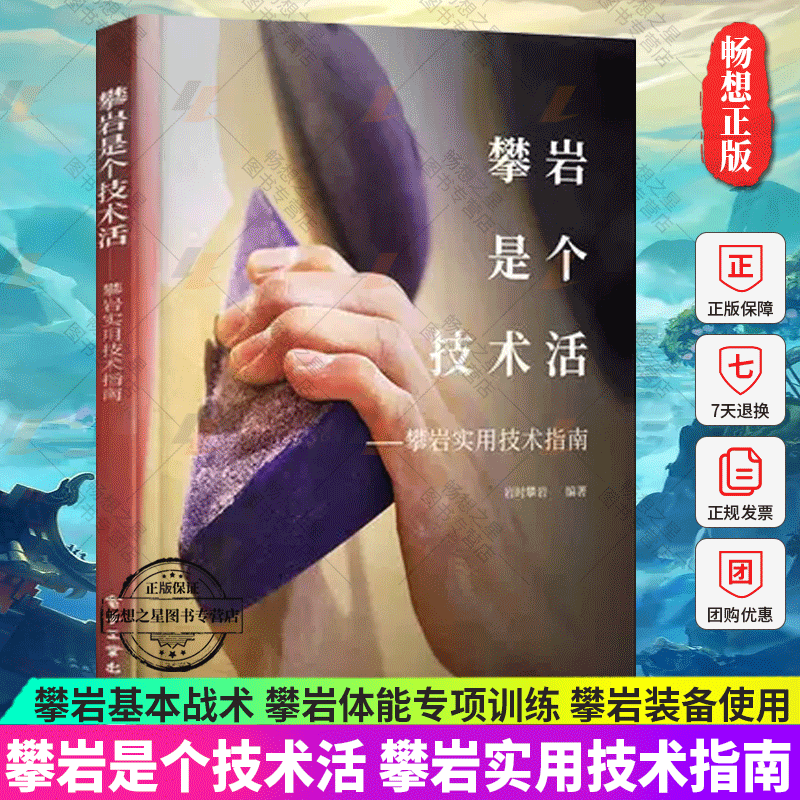 攀岩是个技术活攀岩实用技术指南攀岩基本战术攀岩体能专项训练攀岩装备使用攀岩运动保护技术攀岩爱好者攀岩动作技巧书籍