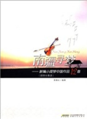 南疆寻梦 新编小提琴中国作品12首 钢琴伴奏谱 西洋音乐 中国经典民歌 艺术歌曲 京剧唱腔音乐小提琴独奏曲书籍 安徽文艺出版社