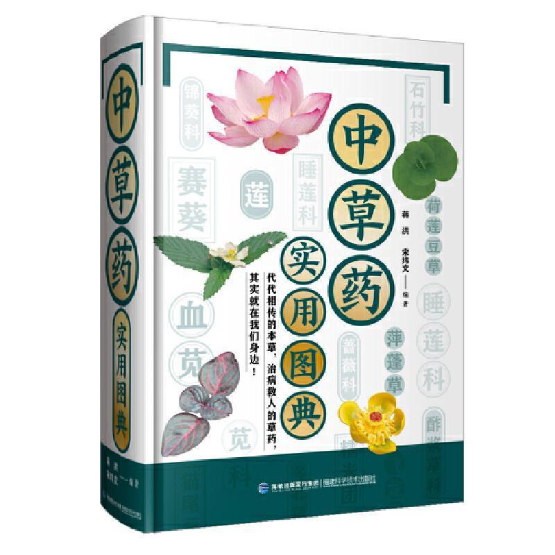 正版中图典(精)者_蒋洪宋纬文责_林栩书店医药卫生书籍 畅想畅销书