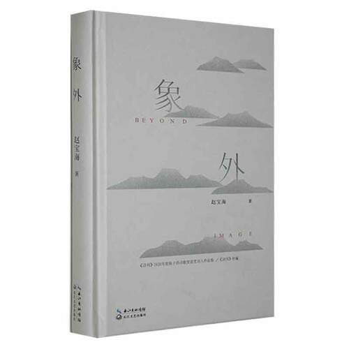 正版象外赵宝海书店文学书籍 畅想畅销书