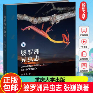 婆罗洲异虫志张巍巍 著玩虫子: 从入门到疯狂,你只差这一本书100 个雨林昆虫的小故事,配合原创生态照片婆罗洲原始雨林