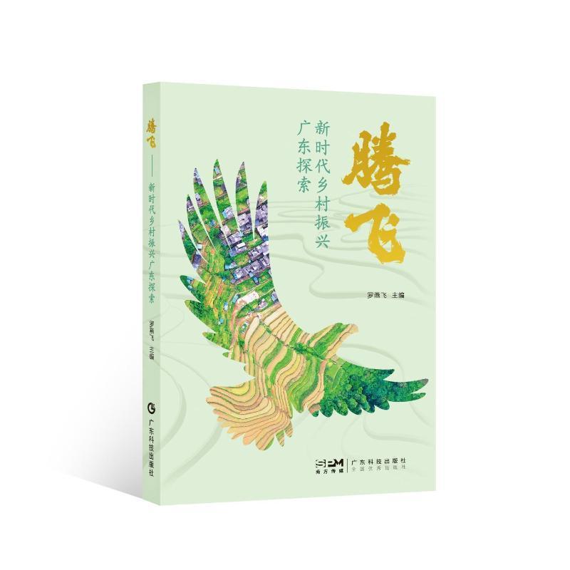 正版腾飞——新时代乡村振兴广东探索罗燕飞书店经济书籍 畅想畅销书
