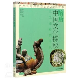 隋唐流光溢彩 年代 伍微微 正版 书籍 中国文化探秘 书店文化 畅想畅销书 包邮