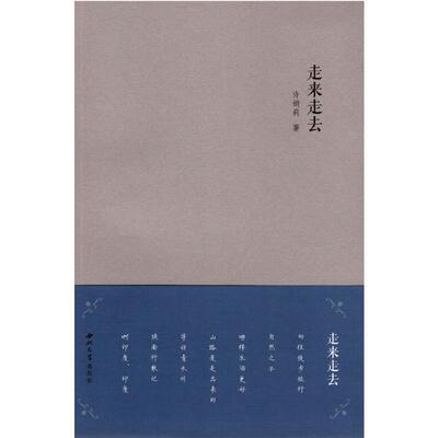 正版走来走去许娟莉书店文学书籍 畅想畅销书