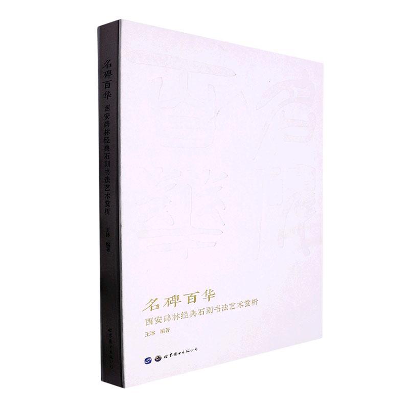 正版名碑百华——西安碑林经典石刻书赏析王冰书店历史书籍 畅想畅销书