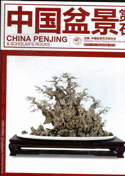 正版包邮 中国盆景赏石-2012-12 中国盆景艺术家协会 书店 工艺美术制品工业书籍 畅想畅销书