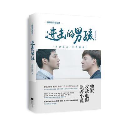 正版包邮 进击的男孩 大表哥许添 书店 作品集、作品赏析书籍 畅想畅销书