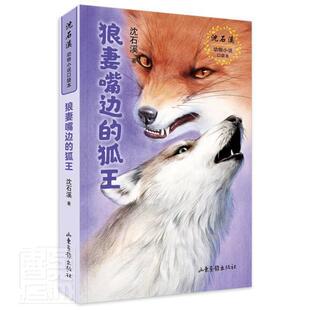 正版包邮 狼妻嘴边的狐王/沈石溪动物小说口袋本沈石溪书店儿童读物书籍 畅想畅销书