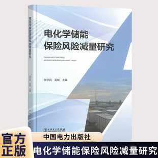 电化学储能保险风险减量研究 张学民 吴斌 电化学储能技术 电化学储能系统风险源分析 风险量化模型评估风险减量措施