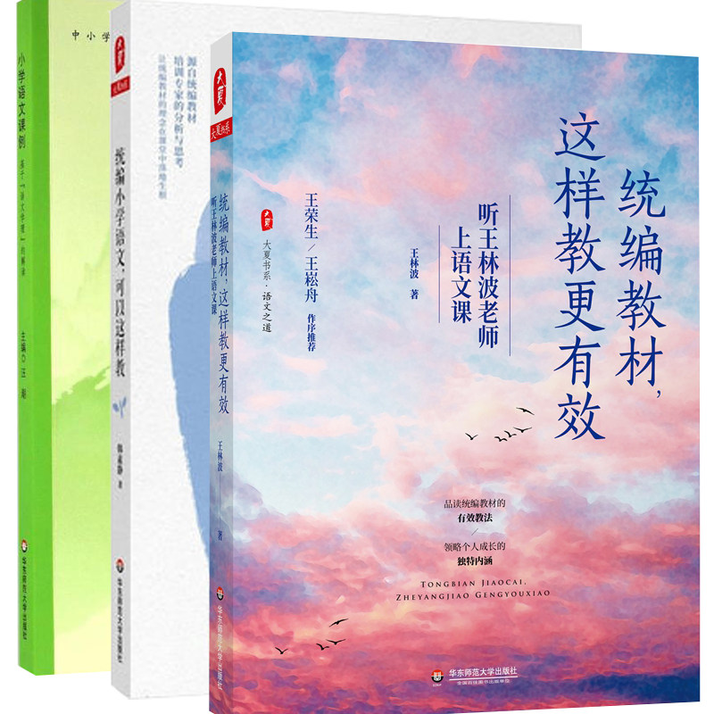 全3册 这样教更有效 听王林波老师上语文课+小学语文课例 基于语文学理的解读 +小学语文可以这样教 大夏书系语文之道语文教师用