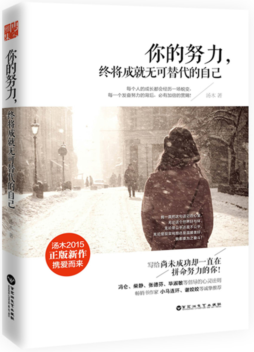 正版包邮 你的努力,终将成就无可替代的自己 汤木 青春文学文艺励志故事书籍将来的你一定会感谢现在拼命的自己 博采雅集