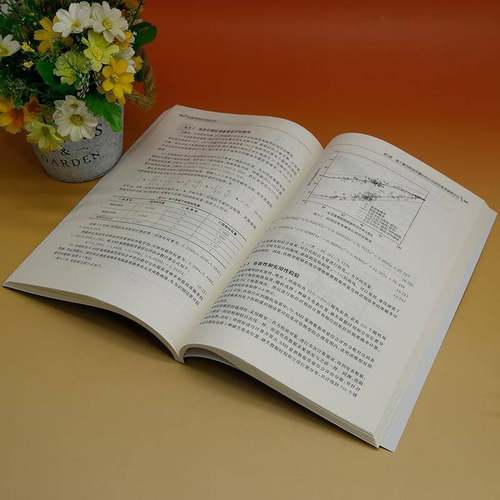 低压配电网拓扑智能识别周来工业技术书籍