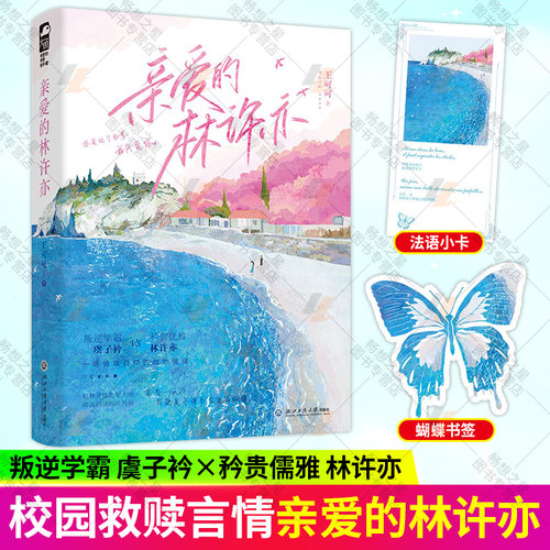 亲爱的林许亦 王可可著 都市甜宠异国情缘言情小说实体书籍 美女学霸VS禁欲系外交官 大鱼文化