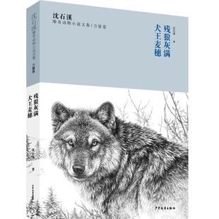 沈石溪 畅想畅销书 残狼灰满犬麦穗 正版 沈石溪臻奇动物小说文集 书籍 包邮 书店图书