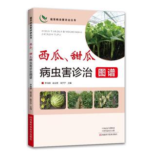 西瓜甜瓜病虫害诊治图谱 蔬菜种植书籍大全农业温室大棚技术西瓜病虫害图谱与防治书栽培知识指南无公害蔬菜种植管理