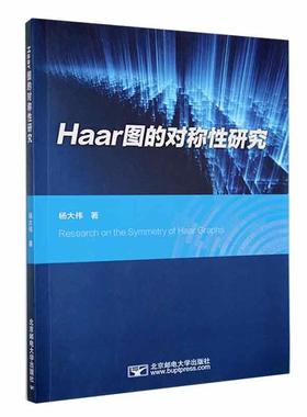 正版Haar图的对称研究杨大伟书店自然科学书籍 畅想畅销书