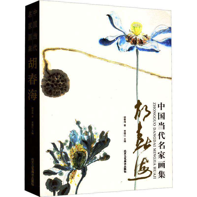 正版中国当代名家画集:胡海春胡春海书店艺术书籍 畅想畅销书