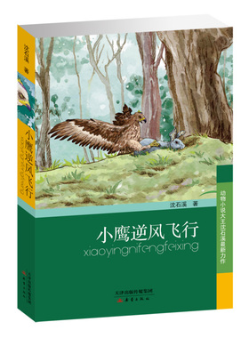 正版包邮 动物小说大沈石溪新作 小鹰逆风飞行 沈石溪著 中小学生课外书三四五六年级7-9-10-12-14岁儿童动物小说书沈石溪