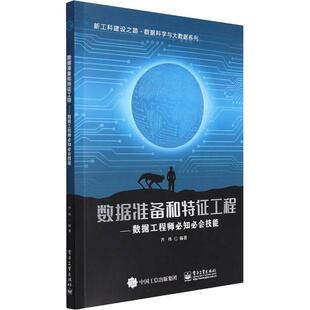 正版数据准备和特征工程:数据工程师知会技能齐伟书店图书书籍 畅想畅销书
