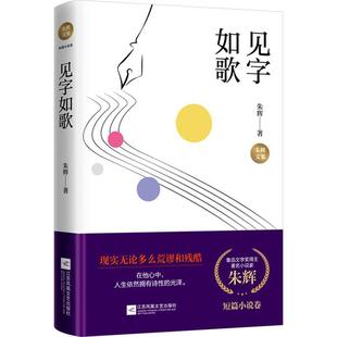 朱辉书店小说书籍 精 畅想畅销书 见字如歌 正版