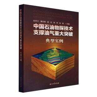 正版 畅想畅销书 中国石油物探技术支撑油气重大突破典型实例赵邦六书店自然科学书籍