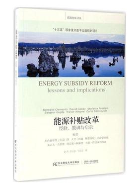 正版能源补贴改革:经验、教训与启示:lessons and implications本尼迪克特·克莱门茨书店经济书籍 畅想畅销书