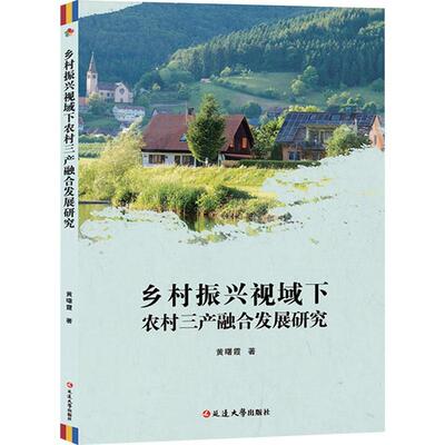 正版乡村振兴视域下农村三产融合发展研究黄曙霞书店经济书籍 畅想畅销书