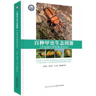 百种甲虫生态图册 不包括叶甲和象虫总科 原鞘亚目肉食亚目多食亚目鞘翅目昆虫122种水龟金龟总科隐翅虫高清图片科普 甲虫百科全