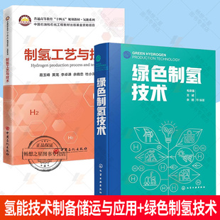 3册任选  氢能技术制备储运与应用+制氢工艺与技术+绿色制氢技术 煤制氢天然气制氢甲醇制氢石油制氢工业副产氢电解水制氢