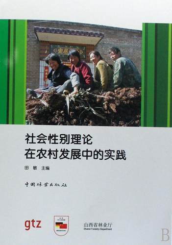 正版包邮 社会性别理论在农村发展中的实践 田敏 书店社会科学 书籍 畅想畅销书