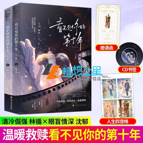 看不见你的第十年 全2册 钟仅著 清冷倔强 林循x眼盲情深 沈郁 救赎治愈久别重逢男暗恋女都市言情小说实体书籍 正版大鱼
