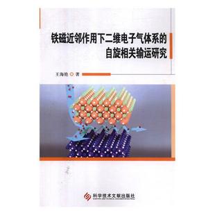 自旋相关输运研究 铁磁近邻作用下二维电子气体系 王海艳 书店 畅想畅销书 正版 理论物理学书籍 包邮