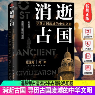 龟兹楼兰西夏精绝古国文明历史谜案故事 消逝古国 追踪考古遗迹史书古籍彩色配图 中华文明 考古书籍 寻觅古国废墟