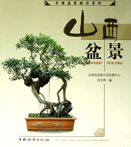正版包邮 山西盆景 刘天明 书店 观赏园艺书籍 畅想畅销书