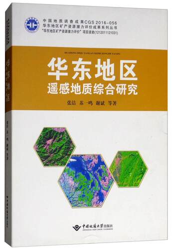 正版包邮 华东地区遥感地质综合研究 张洁等 书店自然科学 书籍 畅想畅销书