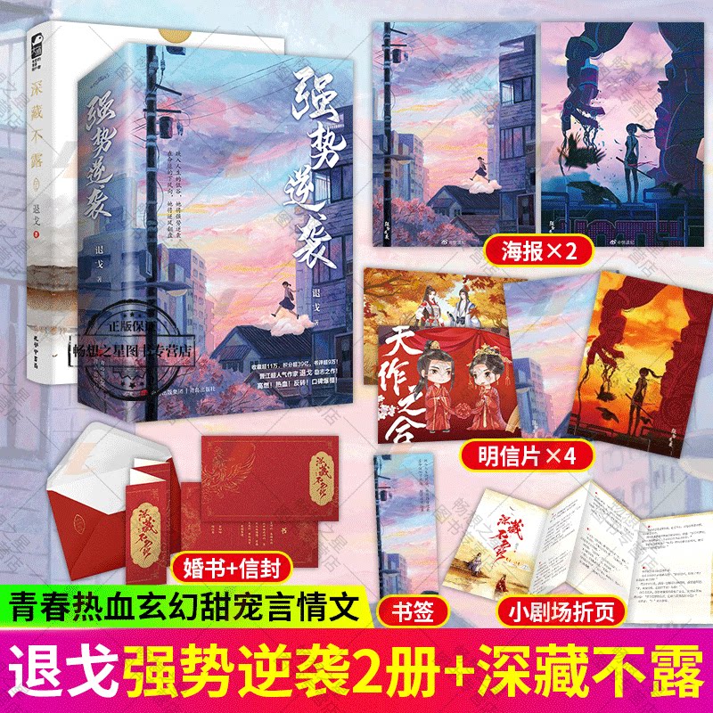 上下两册【随书附赠海报 明信片 书签】退戈励志之作 晋江文学 高燃