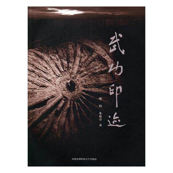 正版包邮印迹 张伟 书店 国内游(综合)书籍 畅想畅销书
