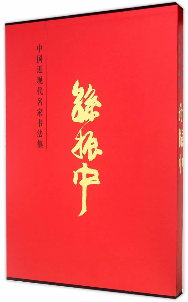 正版包邮 孙振中-中国近现代名家书法集 孙振中 书店 书法理论书籍 畅想畅销书