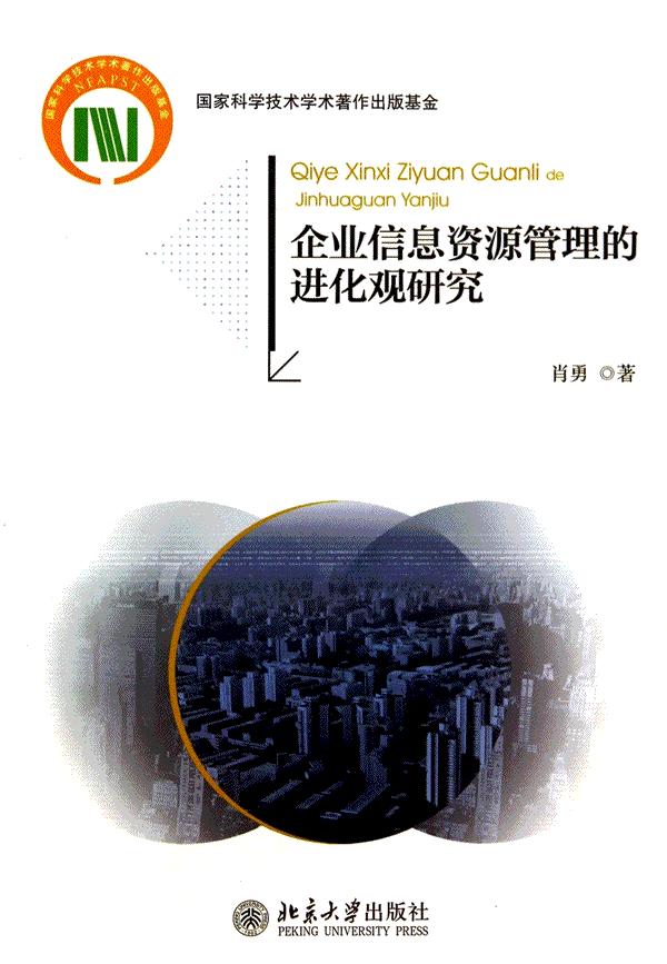 正版包邮 企业信息资源管理化观研究 肖勇 书店 经营管理书籍 畅想畅销书