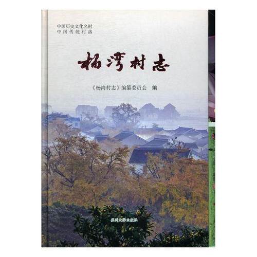 正版包邮 杨湾村志 杨维忠 书店 地方史志书籍 畅想畅销书