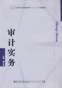 正版包邮 审计实务 明平智 书店 审计方书籍 畅想畅销书