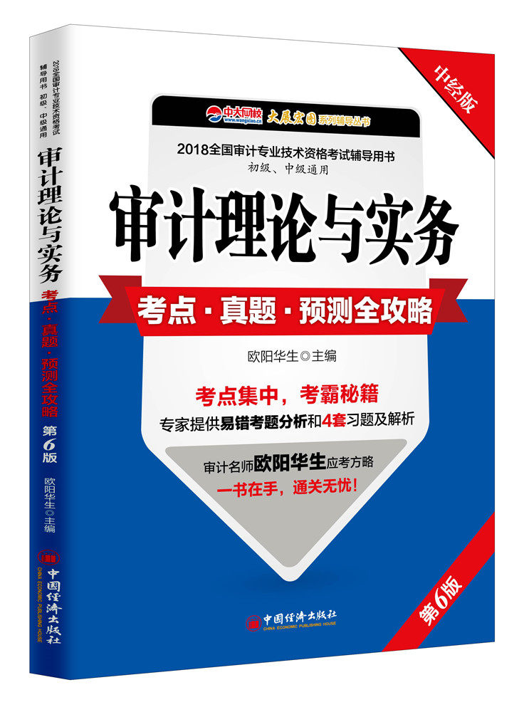 正版包邮 审计理论与实务考点·真题·预测全攻略 欧阳华生 书店 审计师考试书籍 畅想畅销书