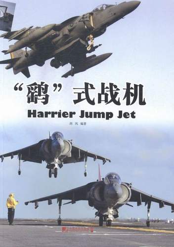 鹞式战机 畅想畅销书