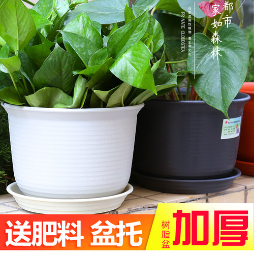 陶瓷正品创意加厚特价清仓盆栽