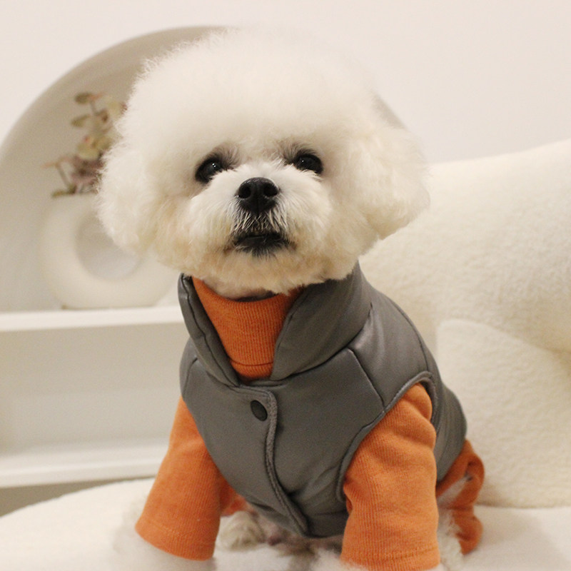 狗狗四脚衣ins春夏季衣服棉质弹力家居马甲泰迪比熊雪纳瑞约克夏