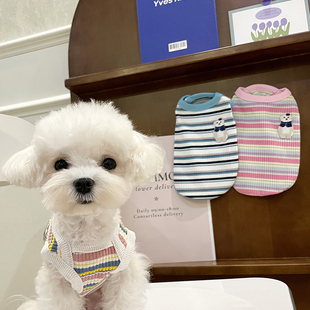 狗衣服泰迪狗狗新款春秋装弹力背心轻薄宠物彩条比熊雪纳瑞马尔泰