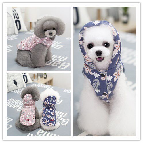 cheepet马甲巴哥胖狗猫衣服法斗