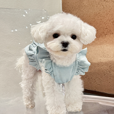 宠物棉背心BH百搭猫狗